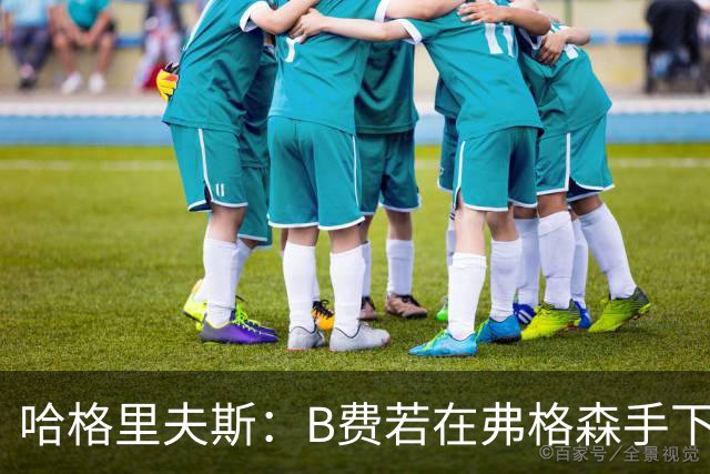 哈格里夫斯：B费若在弗格森手下说这话，就没机会再上场了