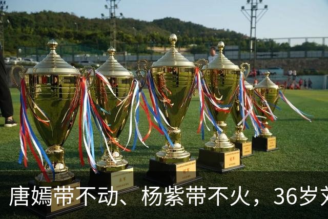 唐嫣带不动、杨紫带不火，36岁刘学义靠央视这部戏，让观众终于记住了他的名字