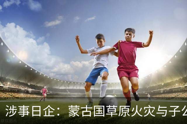 涉事日企：蒙古国草原火灾与子公司高管活动有关